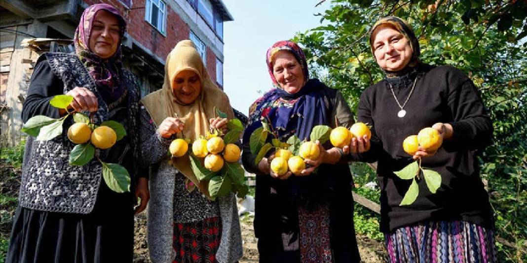 Mahallenin kadınları bahçede yetiştiriyor, olgunlaşmadan kurutuyor! Kilosunu 600 TL’den satıp eve katkı sağlıyorlar 3